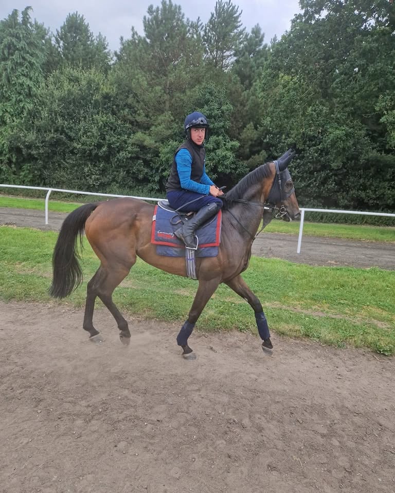 Whiskeywealth - £20 Per Month - Donald McCain