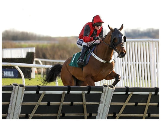 Could Be Trouble - Trained By Donald McCain