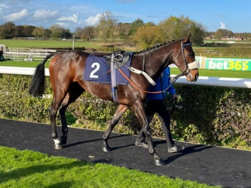 Jipekaa Machin £65 Per Month 2.5% - Trained By Donald McCain