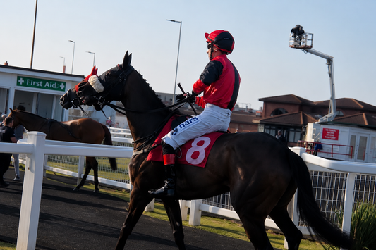 Fille Imbassee Runs a Cracker to Finish Second at Redcar