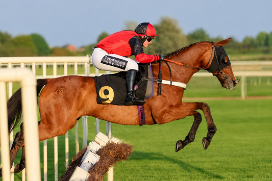 Could Be Trouble Retires – Thank You for the Memories