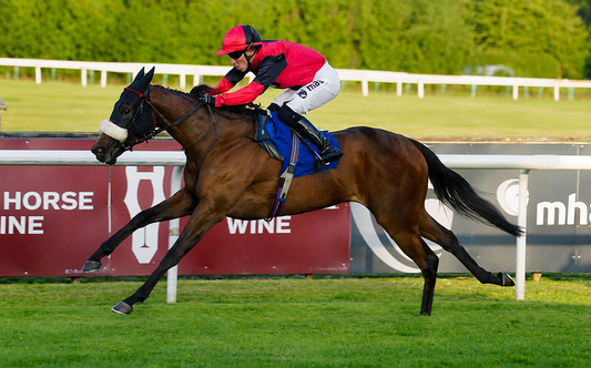 Fille Imbassee Delivers a Landmark Victory for Always Trying Racing Syndicate