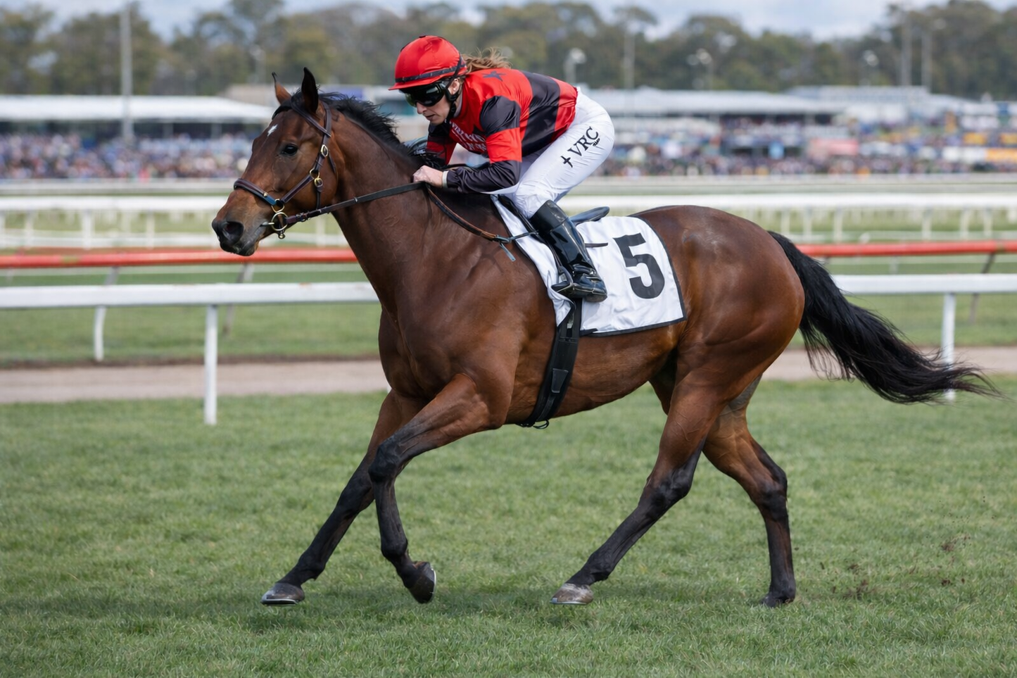 Fille Imbassee £250 Commitment + £65 Per Month - 2.5% Share