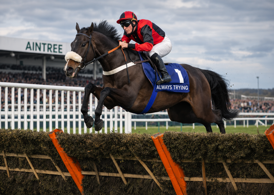 WHISKEYWEALTH £20 Per Month For 0.5% Share - Trained By Donald McCain