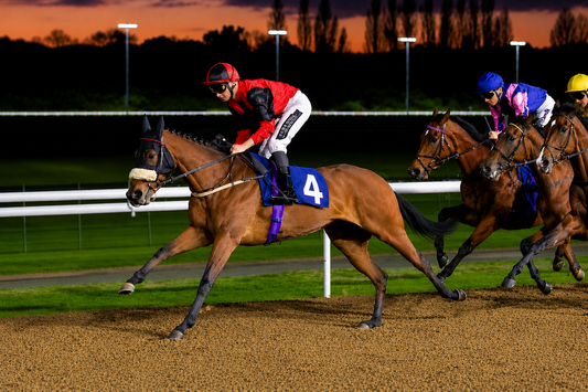 Fille Imbassee £95 Per Month - 2.5% Share Trained By Julie Camacho