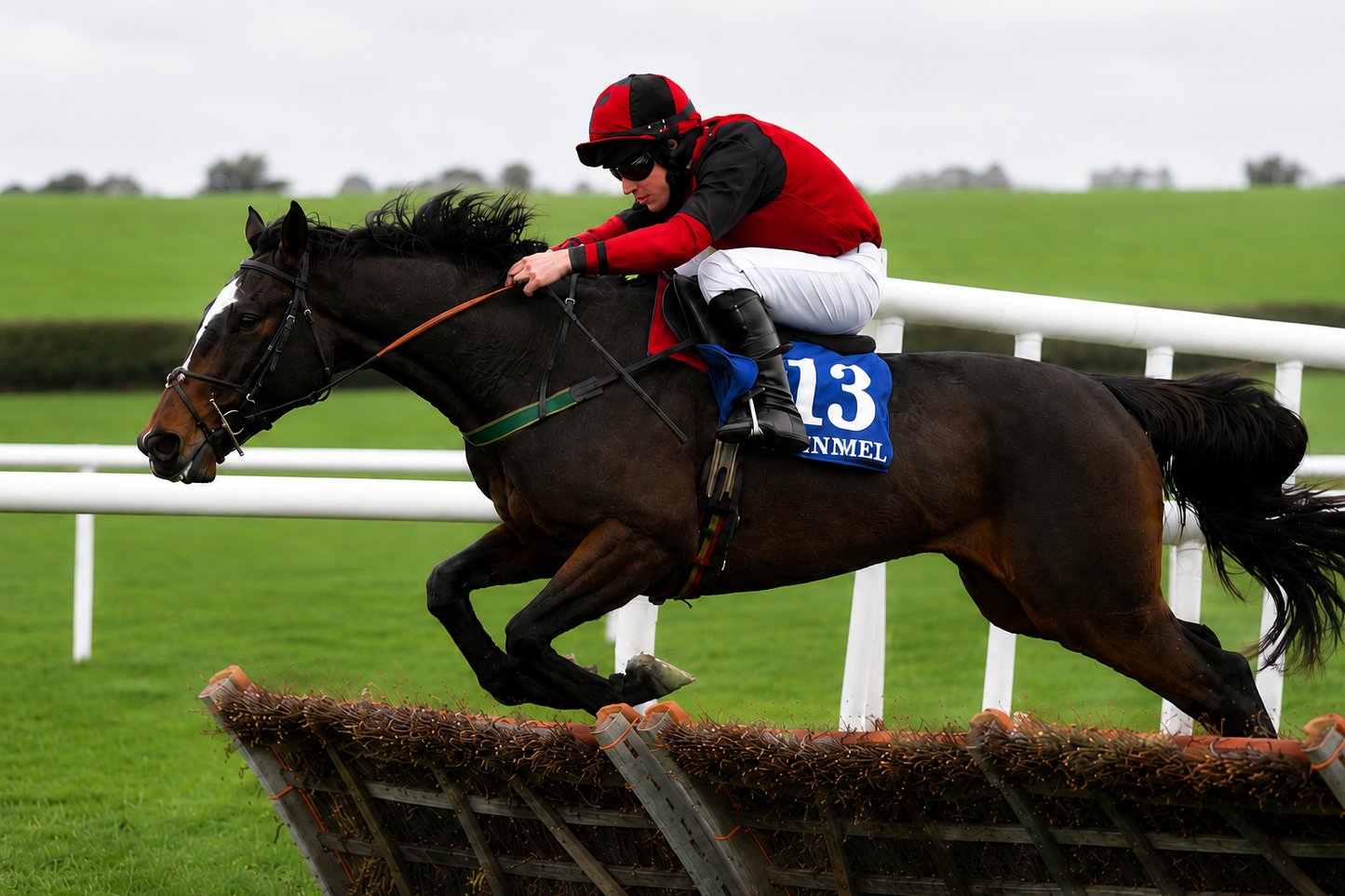 WHISKEYWEALTH £20 Per Month For 0.5% Share - Trained By Donald McCain