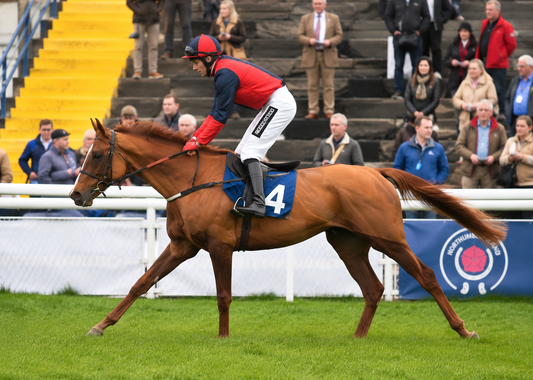 Faithful Guardian £75 Annual - Trained By -Donald McCain