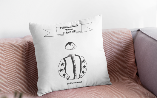 Embrodered Silks Winners Cushions