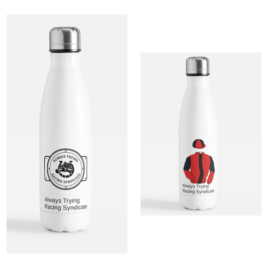Premium Insulated Bottles