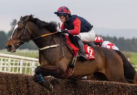 WHISKEYWEALTH £299 Per Month For 10% Share - Trained By Donald McCain