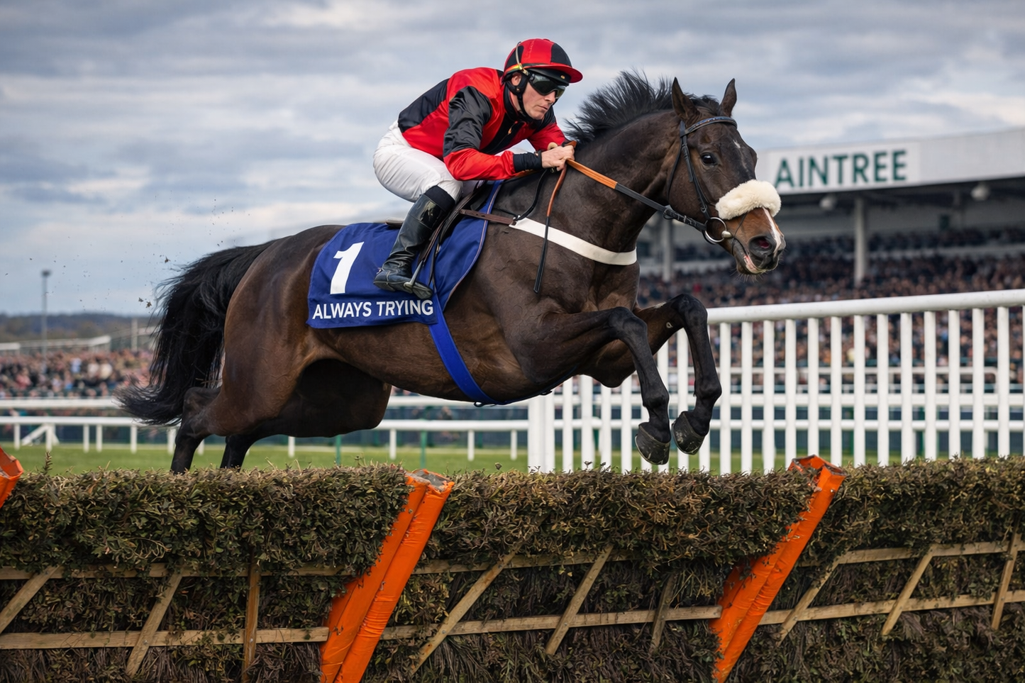 WHISKEYWEALTH £299 Per Month For 10% Share - Trained By Donald McCain